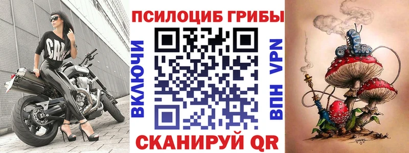 даркнет сайт  Лермонтов  Псилоцибиновые грибы Magic Shrooms 
